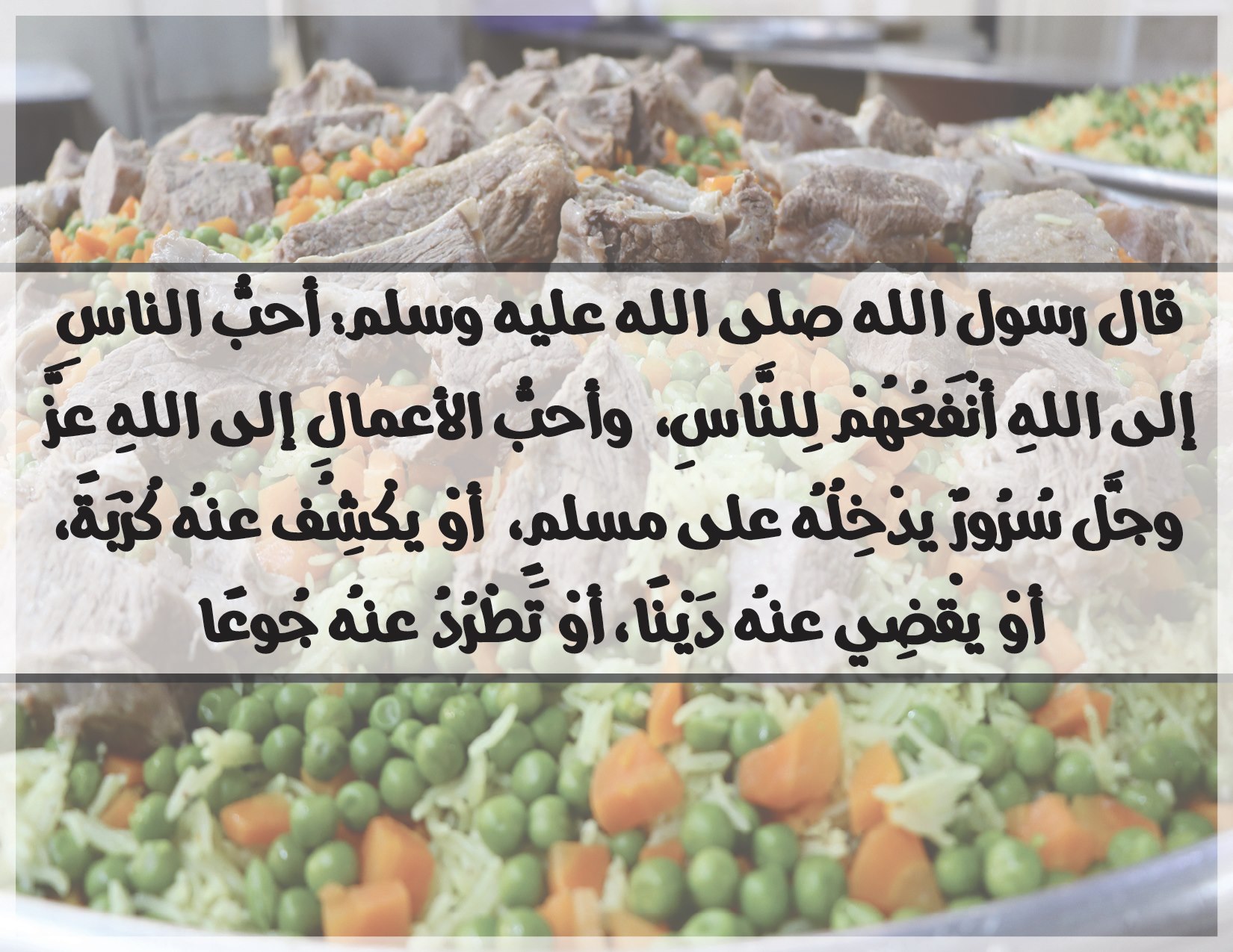 أهداف المشروع 