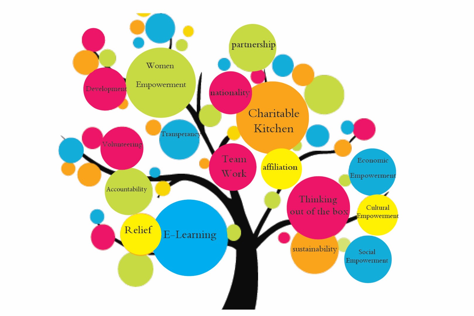 What is Special About SCCS